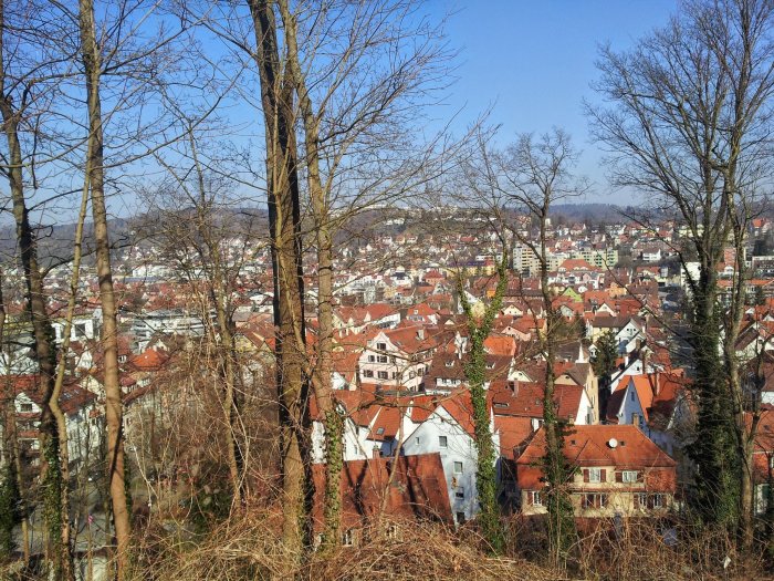 View of the town from the castle
