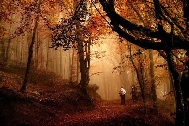 Most beautiful acutumn in Switzerland- Here's a guide to the best activities to try in autumn in Switzerland.