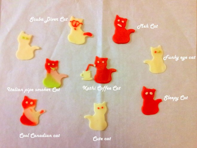 So, what type of a cat are you?