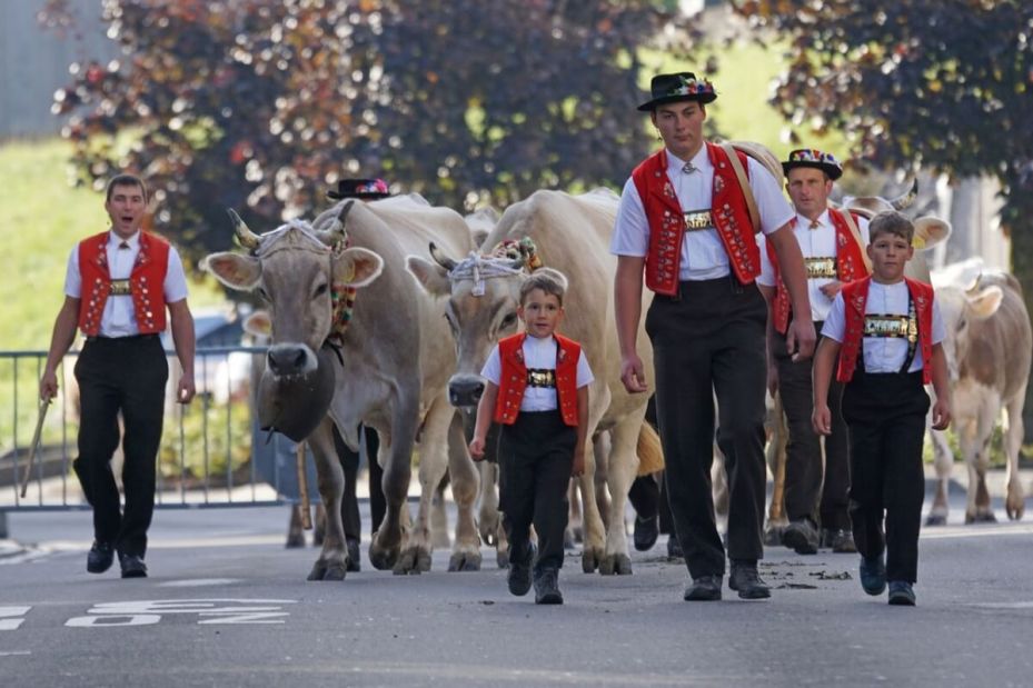 Cattle descent- Switzerland- Appenzell- Things to do in Autumn