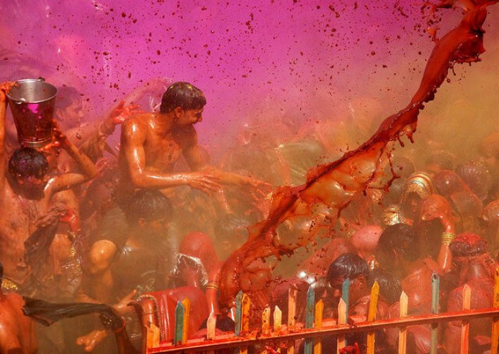 What really happens in Holi,the festival of colours
