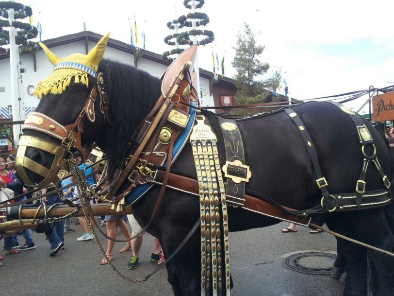 horses