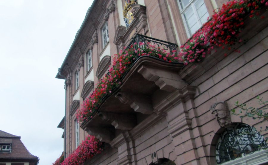 Heidelberg houses flowers
