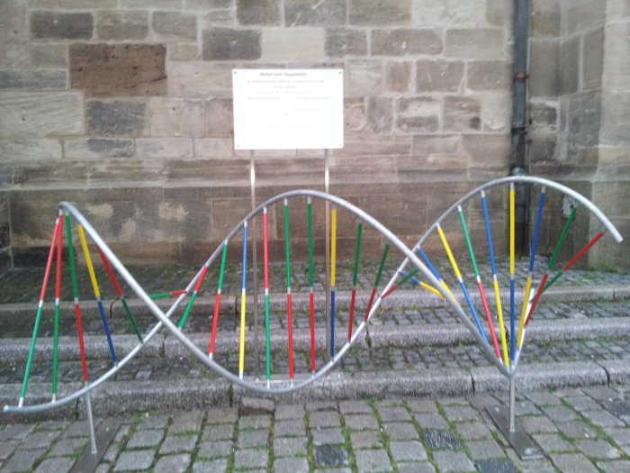 The DNA structure, in memory of Meischer,Watsona nd Crick.